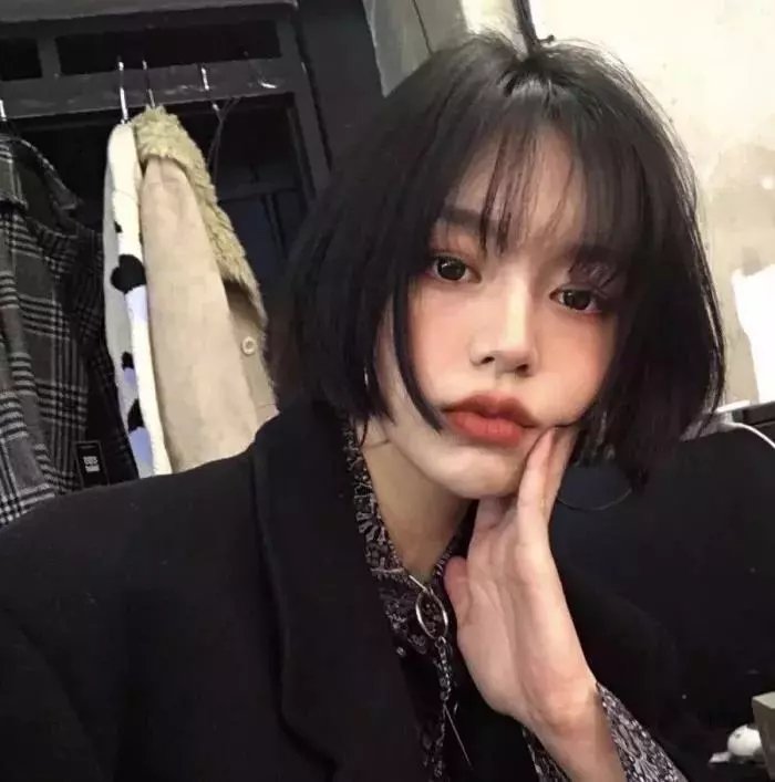 布拉多