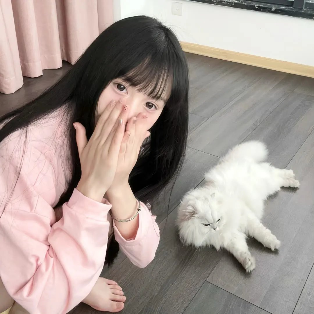 代号美洲豹