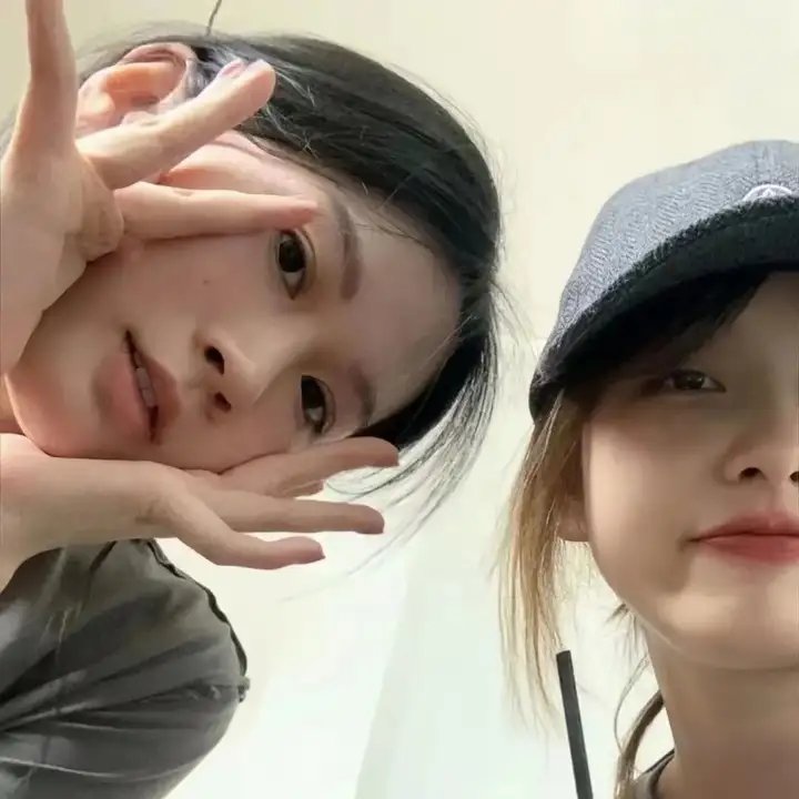 孤鸟罗宾